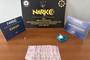 ORDU'DA UYUŞTURUCU OPERASYONLARI: 16 OPERASYON, 2 TUTUKLAMA