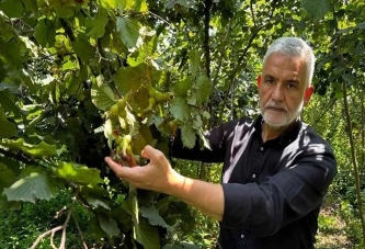 AKÇA’DAN “YAVRU KOKARCA” UYARISI!