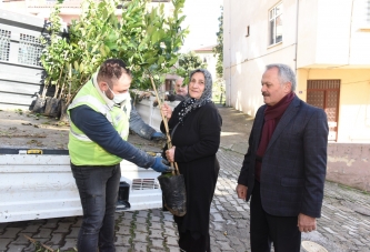 ALTINORDU, MEYVE FİDANI DAĞITTI