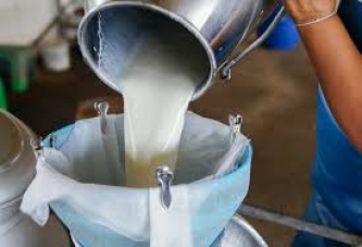 ÇİĞ SÜT ÜRETİMİ ARTTI