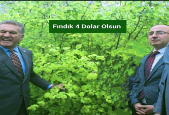 “CUMHURBAŞKANIMIZ FINDIK 4 DOLAR OLSUN”