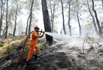 HASAT SEZONUNDA TEHLİKE KATLANIYOR
