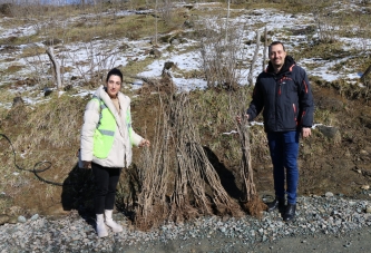 İPEK BÖCEKÇİLİĞİ YAYGINLAŞIYOR