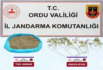 JANDARMA GÖZ AÇTIRMIYOR