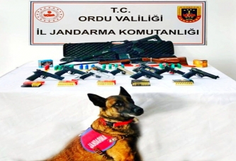 JANDARMADAN SİLAH OPERASYONU