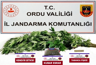 JANDARMADAN UYUŞTURUCU OPERASYONU