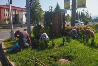 KAVŞAKLAR DÖRT MEVSİM CANLI VE BAKIMLI