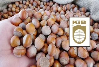 KİB: REKOLTE 601 BİN TON