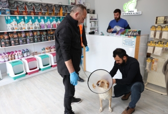 KISIRLAŞTIRILMA SEFERBERLİĞİ BAŞLADI