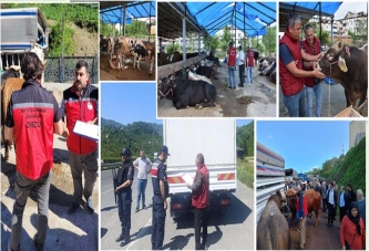 KURBAN PAZARLARI DENETLENİYOR