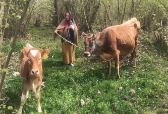 MUTLULUK GÖZYAŞLARI