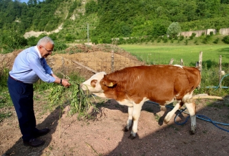 OBB, BESİCİLERİN YÜZÜNÜ GÜLDÜRDÜ