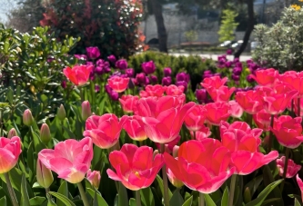 ORDU’DA GÖRSEL ŞÖLEN