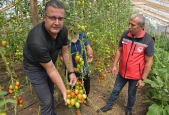 ORDU’DA SERACILIK GELİŞİYOR