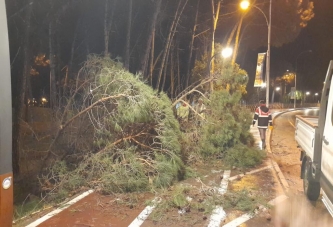 ORDU’DA ŞİDDETLİ FIRTINA ETKİLİ OLDU