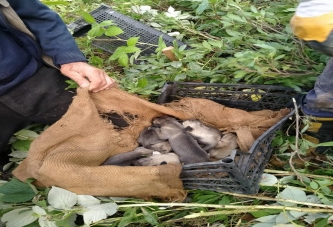 ORDU İTFAİYESİNDEN ÖRNEK DAVRANIŞ