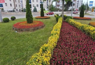 ORDU’NUN DÖRT BİR YANI ÇİÇEK BAHÇESİ
