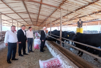 “ŞAP VİRÜSÜ TEHLİKELİ BOYUTTA SEYREDİYOR”