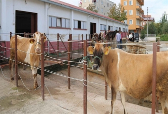 TARIM BAKANLIĞI: İDDİALAR ASILSIZ