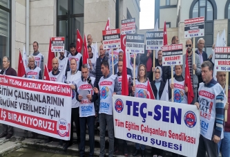 TEÇ SEN, GREVE GİDİYOR!