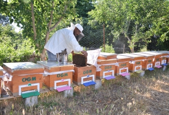 TÜRKİYE, ORMAN ÜRÜNLERİ’NDE LİDERLİĞİNE OYNUYOR