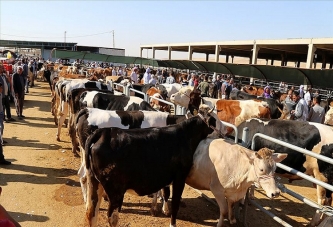 “VATANDAŞIN KURBAN KESİMİ KOLAYLAŞTIRILMALI”