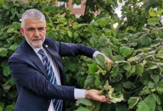 AKÇA: ERKEN TOPLAMAYIN!