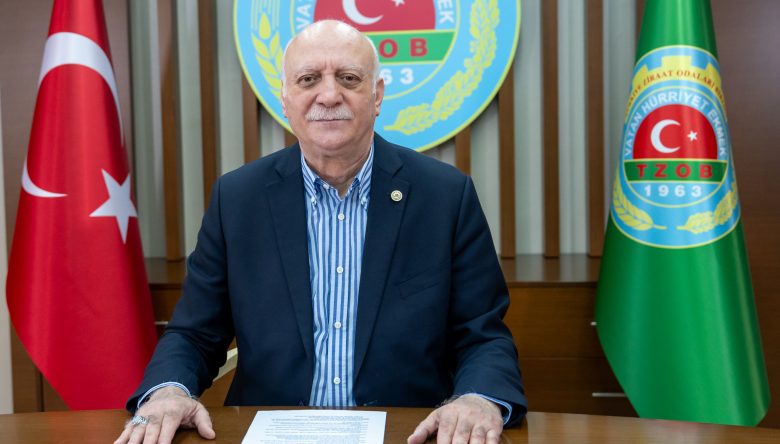 ZAM ŞAMPİYONU MARUL