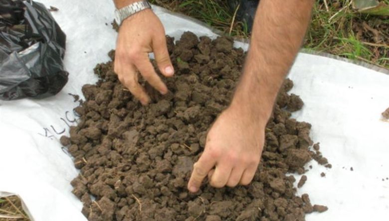 TOPRAK ANALİZİ İHMAL ETMEYİN!