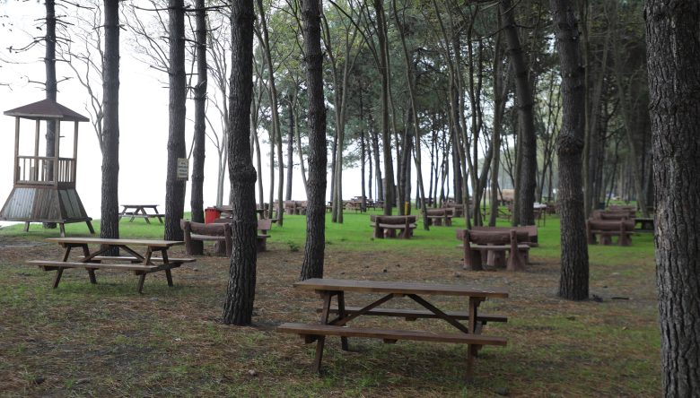 ÇINARSUYU TABİAT PARKI YENİLENİYOR