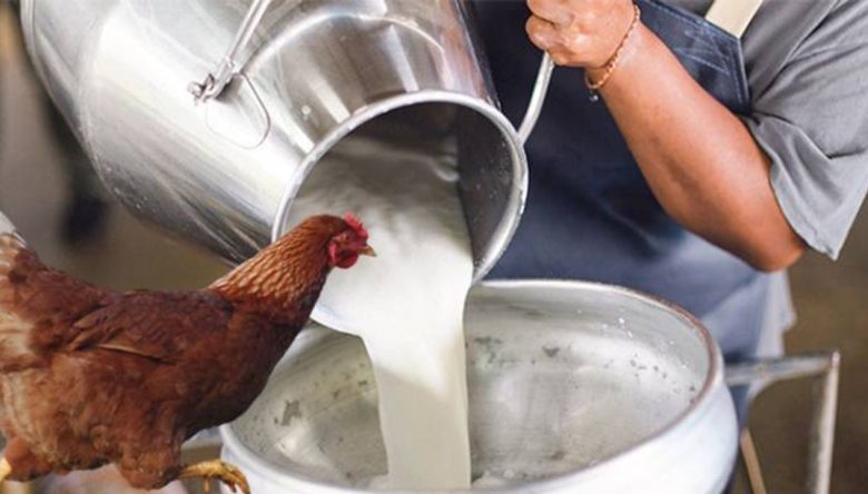 EYLÜL’DE 892 BİN 886 TON SÜT TOPLADI