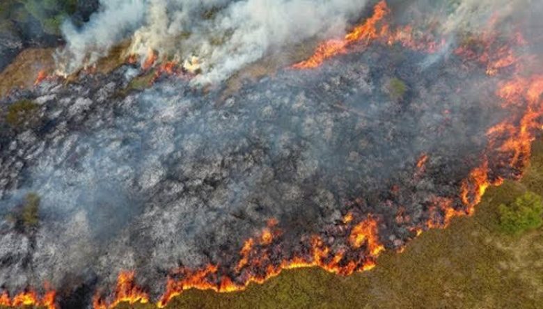 KUMRU’DA ORMAN YANGINI: