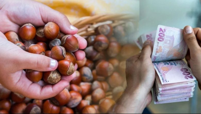 FINDIK ÇAKILDI KALDI!