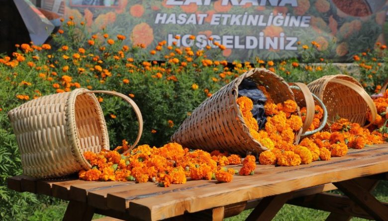 DESTİNASYON PAZARLAMA ÇALIŞTAYINDA ZAPRANA ÖN PLANA ÇIKTI   