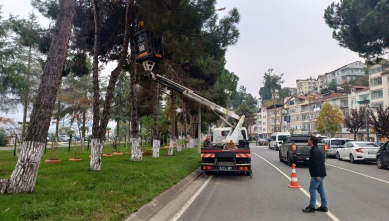 AĞAÇLARIN SAĞLIKLI BÜYÜMESİ SAĞLANACAK      