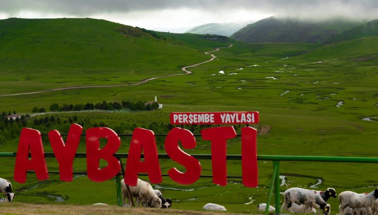    918.YAĞLI GÜREŞ TARİHİ BELLİ