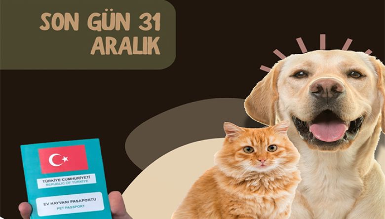 CAN DOSTLARIMIZI KİMLİKLENDİRMEYİ UNUTMAYIN!