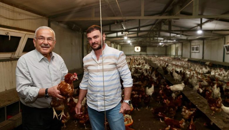 YUMURTA SEKTÖRÜ AYAĞA KALKTI