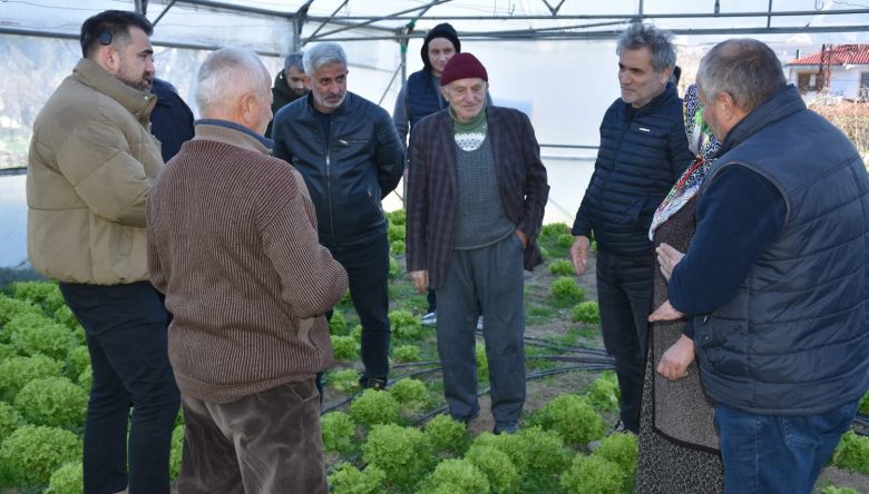 ÜRETİCİLERE UYGULAMALI ÖRTÜ ALTI SEBZE EĞİTİMİ