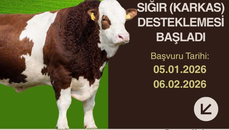 BESİLİK ERKEK SIĞIR (KARKAS) DESTEĞİ BAŞVURULARI BAŞLADI