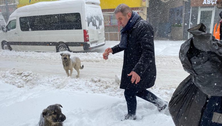 GÜRGENTEPE BELEDİYESİ SOKAK HAYVANLARINI UNUTMUYOR