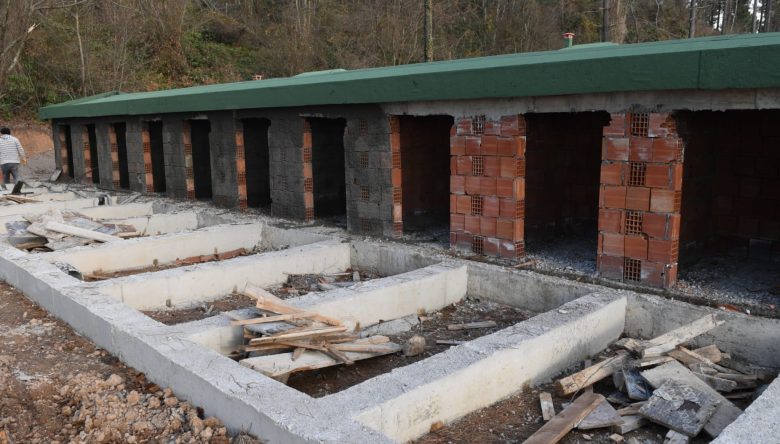 ÜNYE’DE CAN DOSTLARI İÇİN SONA GELİNDİ