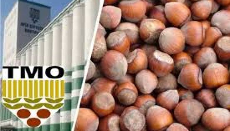 TMO: KABUKLU FINDIK SATIŞI YAPILMIYOR