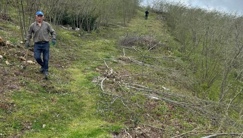 TAŞLIÇAY’DA HİZMET SEFERBERLİĞİ: