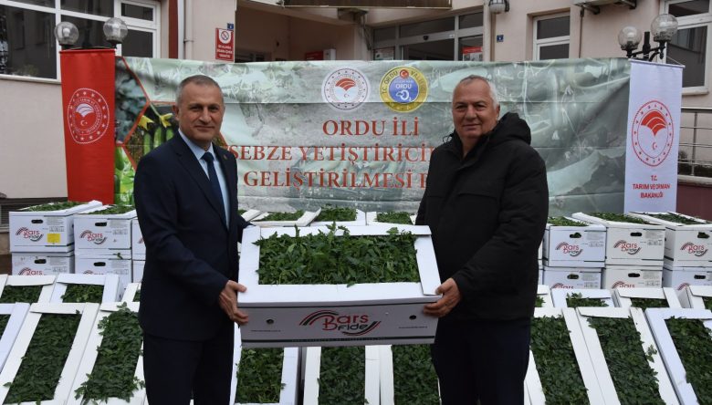 ORDU’DA ÜRETİCİYE FİDE DESTEĞİ
