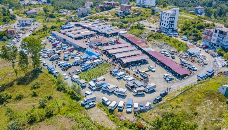 ÜNYE HAYVAN PAZARI KURBAN BAYRAMI’NA HAZIR