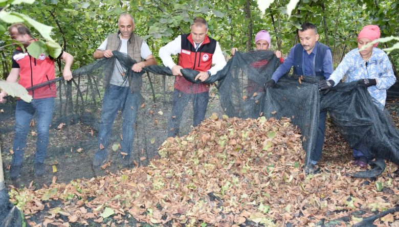 RANDIMAN ARTIYOR, HASAT KOLAYLAŞIYOR!
