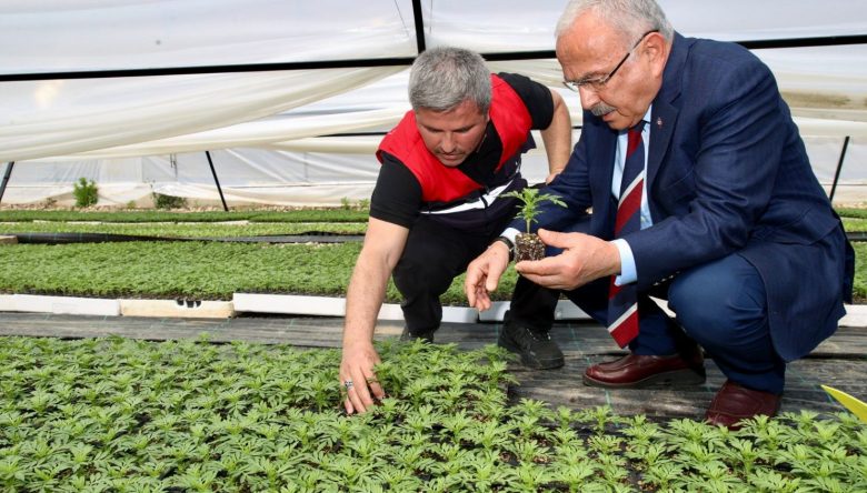BAŞKAN GÜLER: “ORDU ÇİÇEK ŞEHRİ OLACAK”
