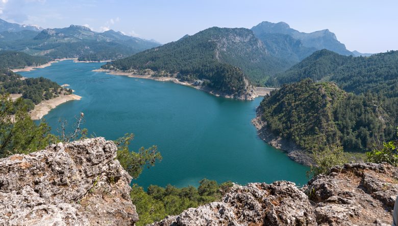 ORMANLAR VE SULAK ALANLAR RİSK ALTINDA