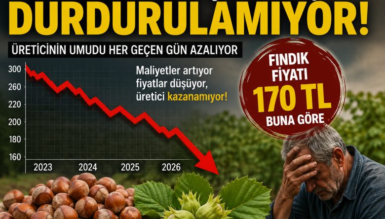 FINDIKTA ÇÖKÜŞ DURDURULAMIYOR 170 TL